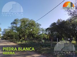  Land for sale in Junin, San Luis, Junin