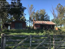  Grundstück zu verkaufen in Maipu, Buenos Aires, Maipu