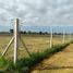  Land for sale in La Plata, Buenos Aires, La Plata