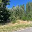  Land for sale in Neuquen, Confluencia, Neuquen