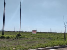  Land for sale in Castellanos, Santa Fe, Castellanos