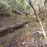  Land for sale in Cushamen Chubut, Cushamen