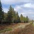  Land for sale in Cushamen Chubut, Cushamen