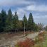  Land for sale in Cushamen Chubut, Cushamen