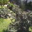 2 Bedroom House for sale in General Sarmiento, Buenos Aires, General Sarmiento