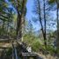  Land for sale in Neuquen, Los Lagos, Neuquen