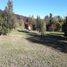  Land for sale in Cushamen, Chubut, Cushamen, Chubut