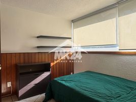 1 Schlafzimmer Wohnung zu vermieten in Alvaro Obregon, Mexico City, Alvaro Obregon