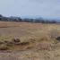  Terreno (Parcela) en venta en Lerdo, Durango, Lerdo
