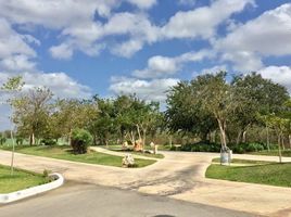  Land for sale in Tixpehual, Yucatan, Tixpehual