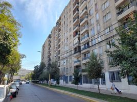 3 Habitación Departamento en alquiler en Puente Alto, Cordillera, Puente Alto