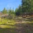  Terreno (Parcela) en venta en Hualane, Curicó, Hualane