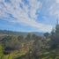  Terreno (Parcela) en venta en Hualane, Curicó, Hualane