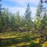  Land for sale in Hualane, Maule, Hualane