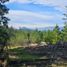  Terreno (Parcela) en venta en Hualane, Curicó, Hualane
