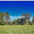  Land for sale in Chile, Puerto Varas, Llanquihue, Los Lagos, Chile