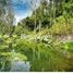  Land for sale in Chile, Puerto Varas, Llanquihue, Los Lagos, Chile
