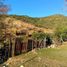  Land for sale in Chile, Machali, Cachapoal, Libertador General Bernardo Ohiggins, Chile