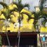 5 Bedroom Villa for rent in Bucaramanga, Santander, Bucaramanga