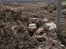  Terreno (Parcela) en venta en Merida, Yucatán, Merida, Yucatán