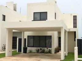 3 Habitación Casa en venta en Conkal, Yucatán, Conkal, Yucatán
