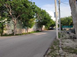 Terrain à vendre à Conkal, Yucatan, Conkal