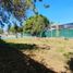  Land for rent in Zapopan, Jalisco, Zapopan
