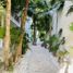 2 Bedroom Apartment for rent in Progreso Yucatan, Progreso