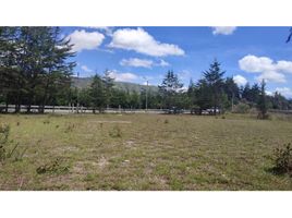 Terrain à vendre à Rionegro, Antioquia, Rionegro, Antioquia