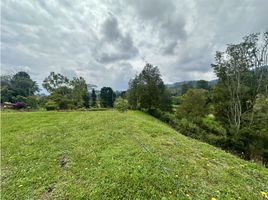  Terreno (Parcela) en venta en Rionegro, Antioquia, Rionegro