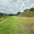  Land for sale in Rionegro, Antioquia, Rionegro