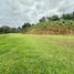  Land for sale in Rionegro, Antioquia, Rionegro