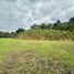  Land for sale in Rionegro, Antioquia, Rionegro