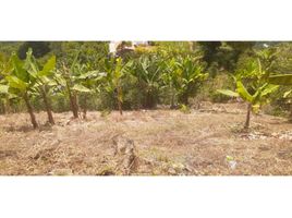 Terrain à vendre à La Ceja, Antioquia, La Ceja, Antioquia