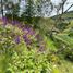 3 Bedroom Villa for sale in Penol, Antioquia, Penol