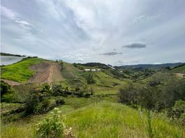 3 Bedroom Villa for sale in Penol, Antioquia, Penol