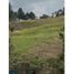  Land for sale in La Ceja, Antioquia, La Ceja