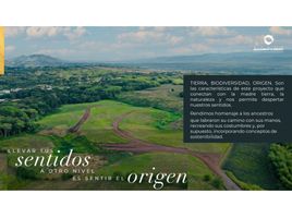  Land for sale in Pereira, Risaralda, Pereira