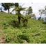  Land for sale in Sabaneta, Antioquia, Sabaneta