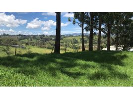  Land for sale in El Carmen De Viboral, Antioquia, El Carmen De Viboral