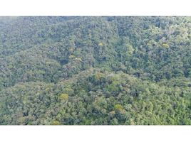  Land for sale in San Rafael, Antioquia, San Rafael