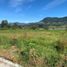  Land for sale in La Ceja, Antioquia, La Ceja