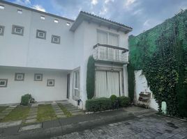 Maison 3 chambre à louer à Toluca, Mexico, Toluca