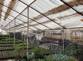  Grundstück zu verkaufen in Irapuato, Guanajuato, Irapuato