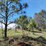  Land for sale in Amealco De Bonfin, Queretaro, Amealco De Bonfin