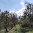  Land for sale in Amealco De Bonfin, Queretaro, Amealco De Bonfin