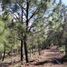  Land for sale in Amealco De Bonfin, Queretaro, Amealco De Bonfin