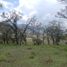  토지을(를) Amealco De Bonfin, Queretaro에서 판매합니다., Amealco De Bonfin