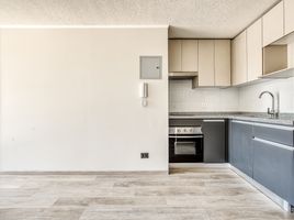 1 Habitación Departamento en alquiler en Puente Alto, Cordillera, Puente Alto