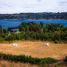  Terreno (Parcela) en venta en Chile, Frutillar, Llanquihue, Los Lagos, Chile